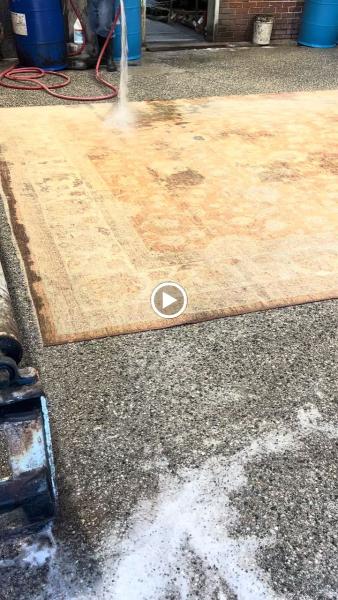 Zest Carpet Cleaning