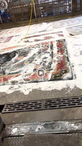 Zest Carpet Cleaning