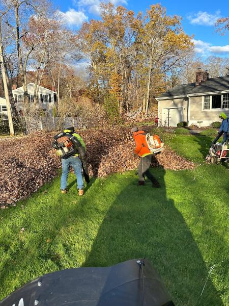 Jjbm Landscaping & Tree Removal
