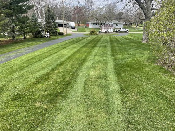 B.i.c Lawn Service