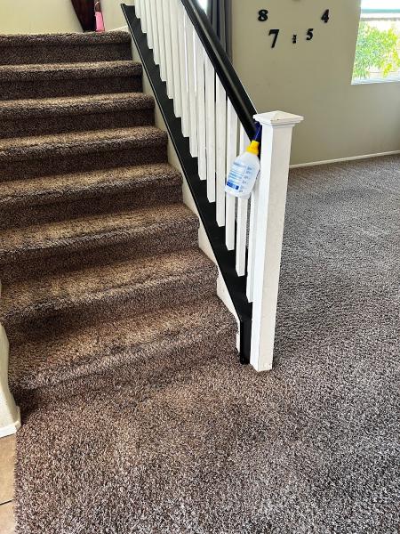 All American Carpet Cleaning