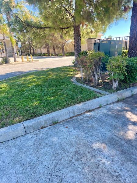 Palacios Landscaping LLC