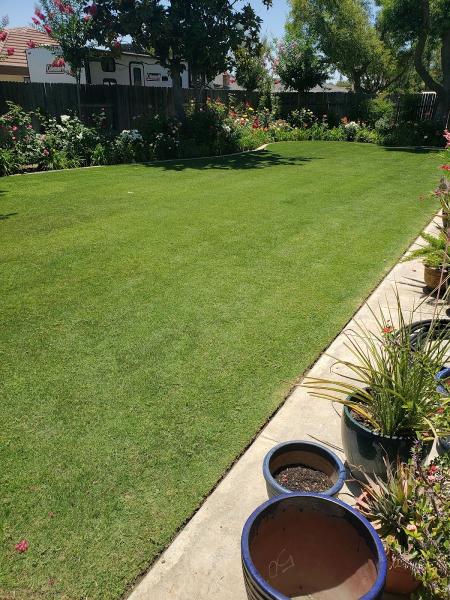Patriot Lawn Care