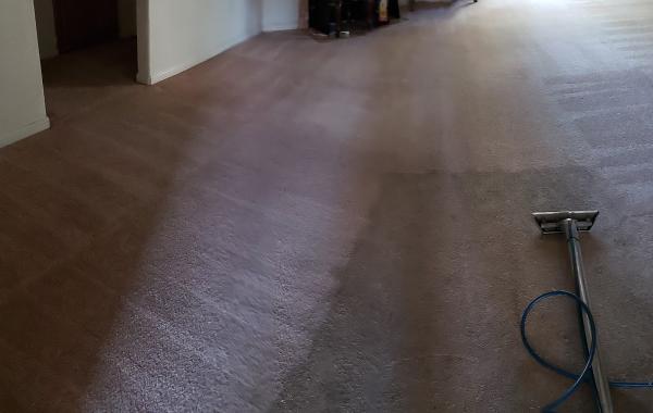 Hummingbird Carpet Cleaning Inc.