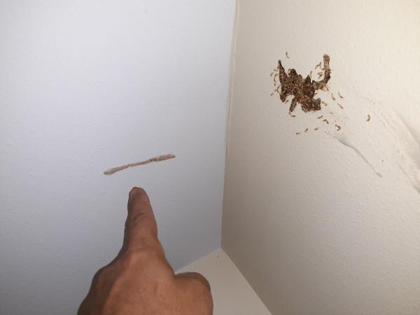 Al's Pest Control Service Inc.