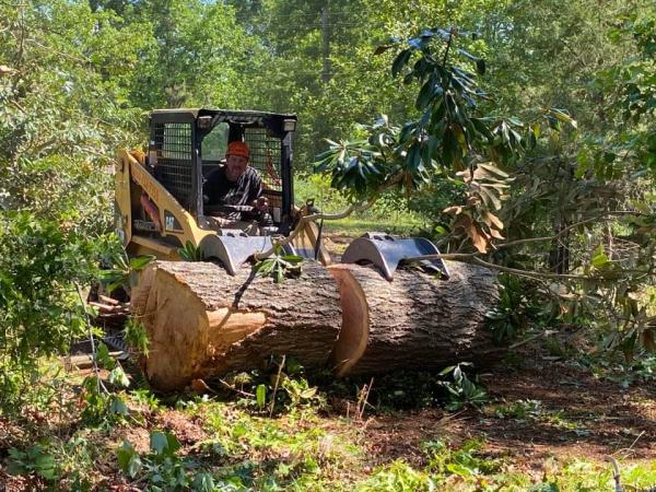 Finley Tree Services
