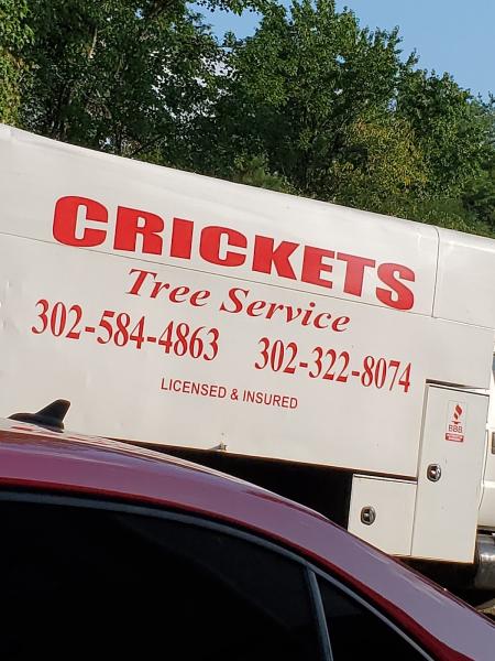 Crickets Tree Service