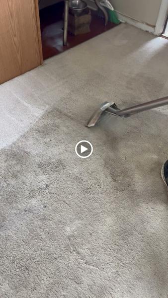 Spic n Span Carpet Cleaning Inc.