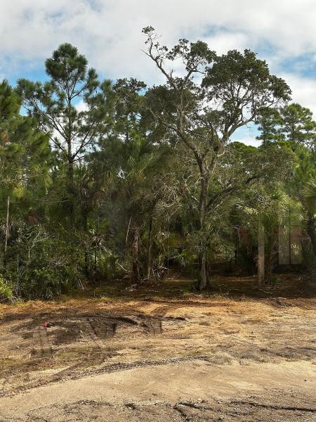 Southern Touch Tree Service and Landscape Management