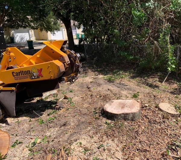 Southern Touch Tree Service and Landscape Management