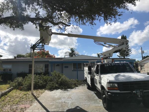 Southern Touch Tree Service and Landscape Management