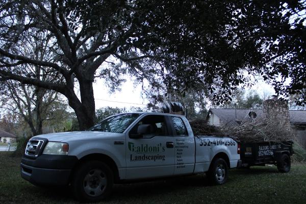Baldoni's Landscaping