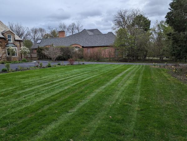Pauly Landscaping