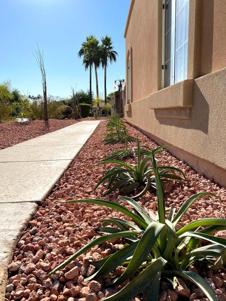 Urban Landscape Solutions
