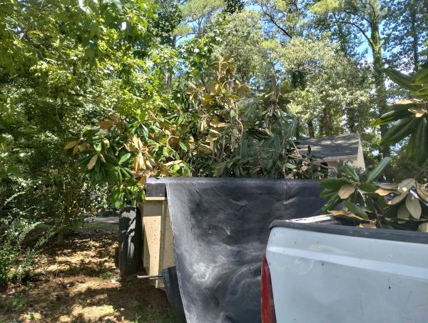 Asap Junk Removal One Call We Haul It All