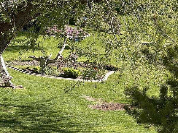 Cache Valley Curb