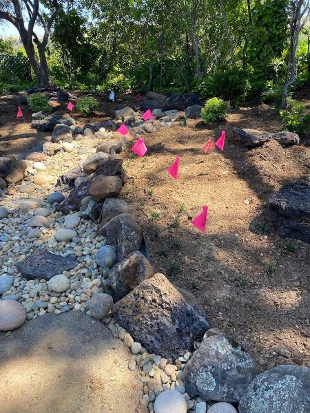 Suazo Landscaping & Irrigation