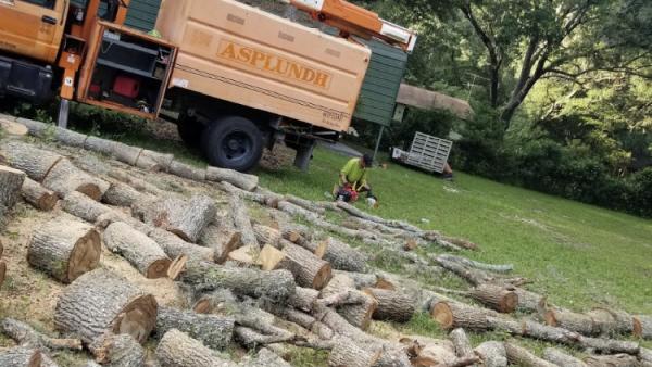 H&M Tree Service