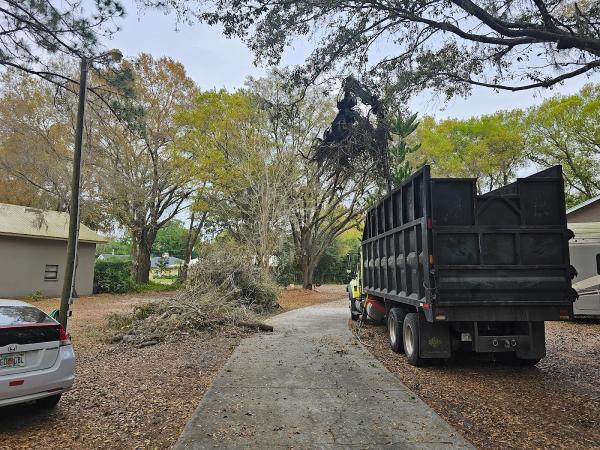 H&M Tree Service