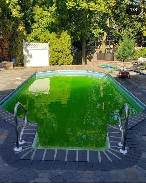 Continental Pools