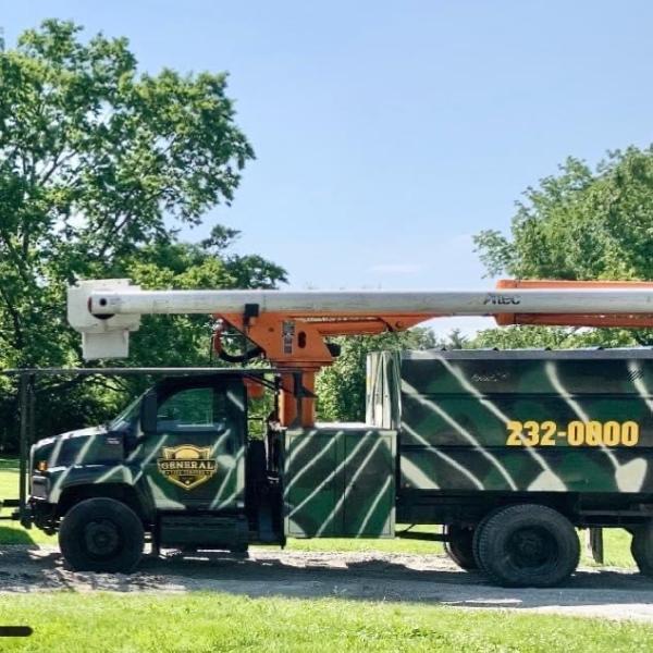 General Tree Company: Dayton Tree Services