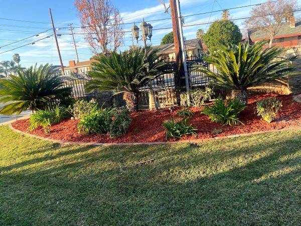 Villegas Tree Service