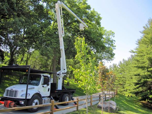 Omaha Tree Service