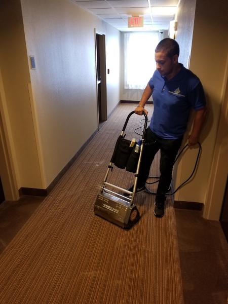Hygea Carpet Cleaning