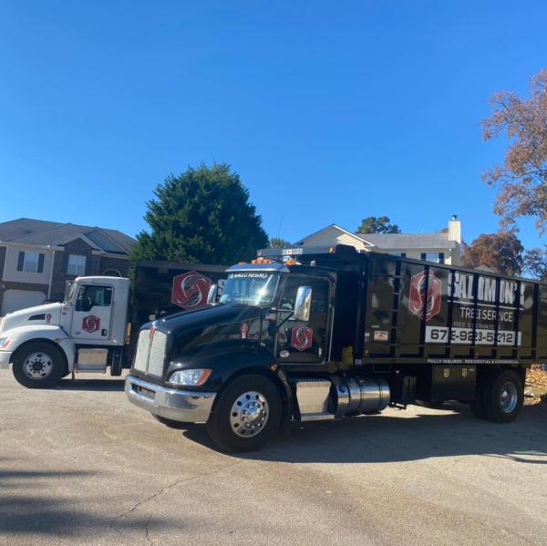 Salomon's Tree Service