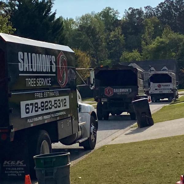 Salomon's Tree Service