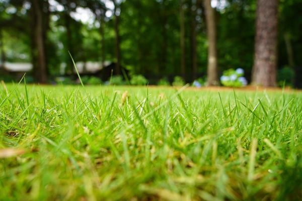 Legacy Lawn Care