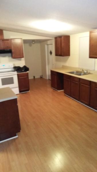 M & S Cleaning Services Llc
