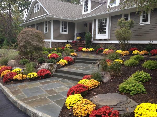 Shoreline Landscaping