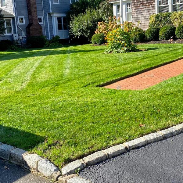 Shoreline Landscaping