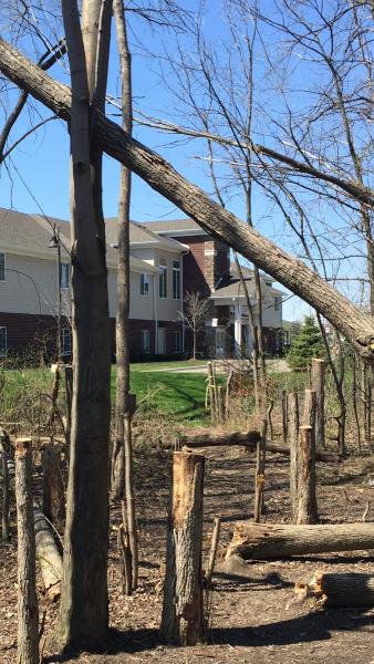 Woody's Tree Service