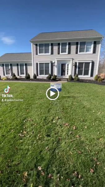 Buffalo Renovators