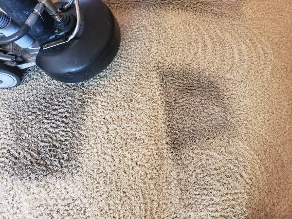 Doug the Rug Man Co