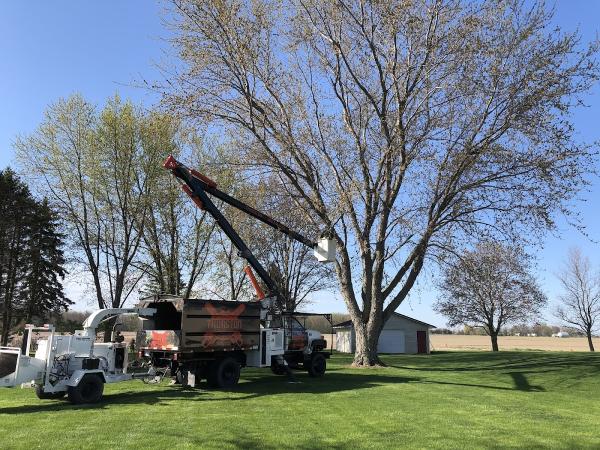 Thurston Logging and Tree Service
