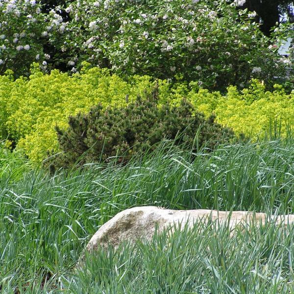 Alternative Landscape & Design LLC