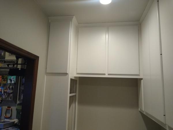 True Coat Painting