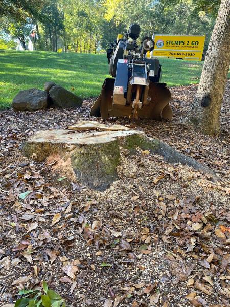 Stumps 2 Go