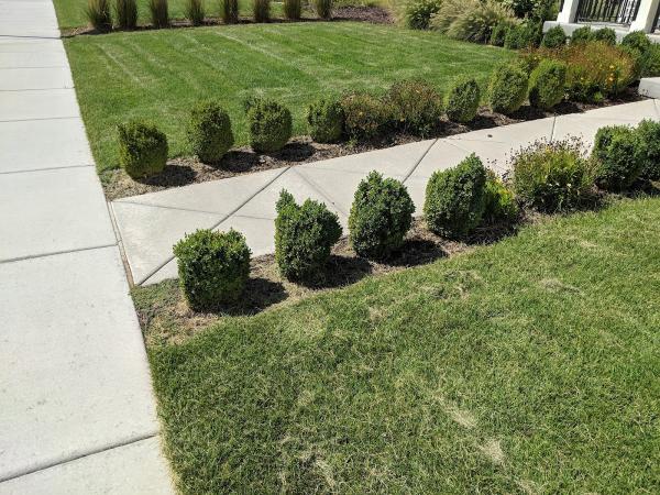 Medina's Landscaping Care