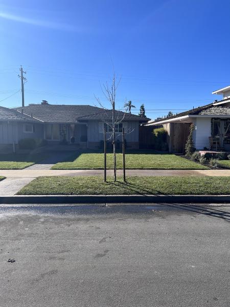 Smith & Enright Landscaping