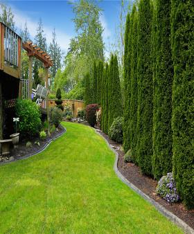 Algiers Landscaping & Lawn Maintenance