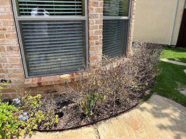 Special Touch Lawn Services