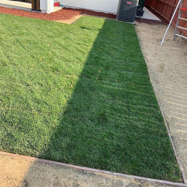 Superior Landscaping
