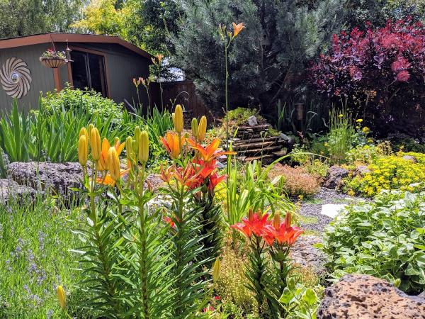 Superior Landscaping