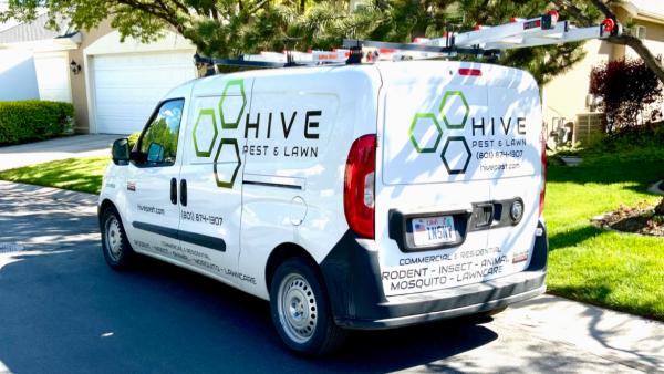 Hive Pest Defense