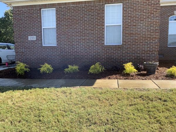 Cultivate Landscape & Irrigation LLC