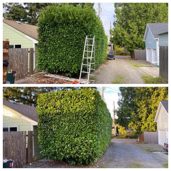 Royal Landscaping & Hauling